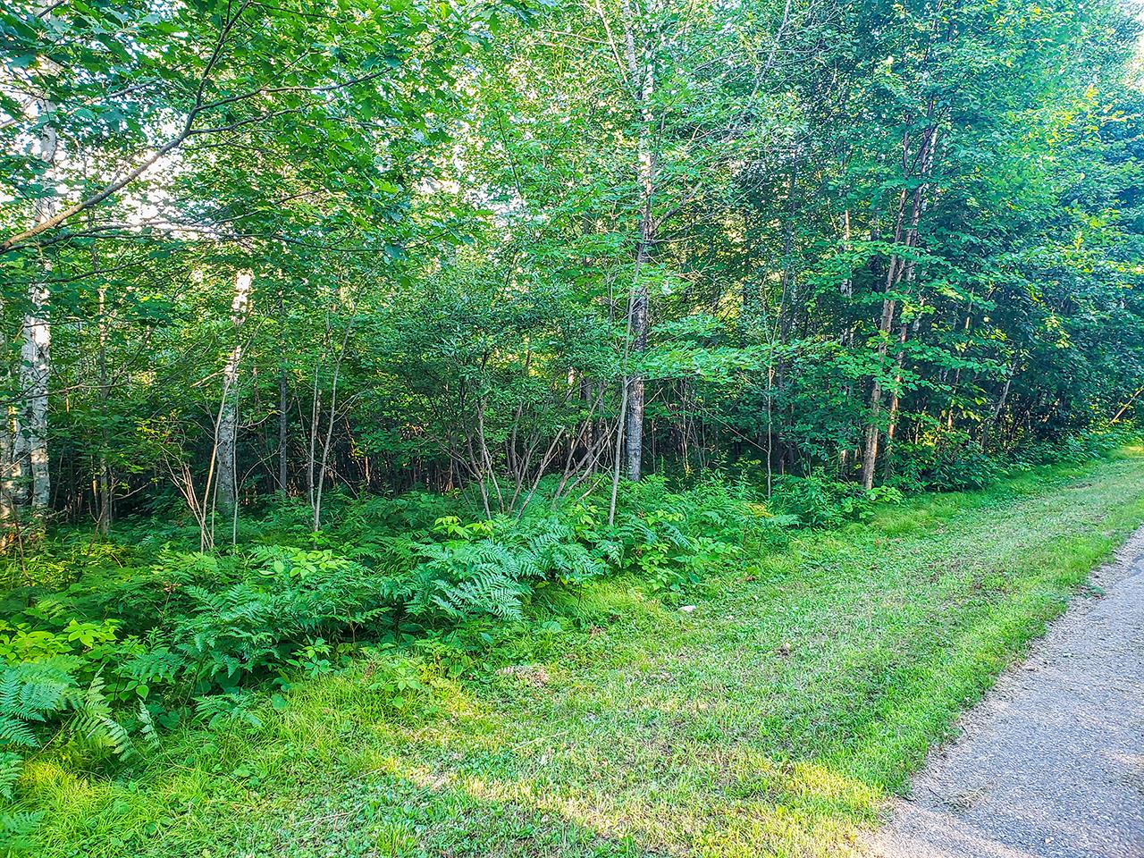 4680 Currie Lake Road Harshaw, WI 54529 - Photo 33 of 42 Gallery Image 33