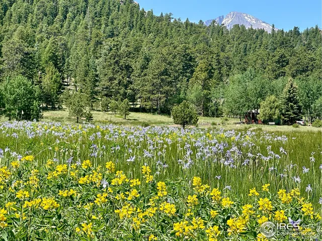 a view of lake with mountain