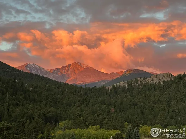 a view of a dry yard with mountains in the background