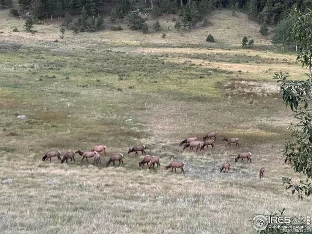 $3,995,000 | 3495 St Francis Way, Estes Park, CO 80517