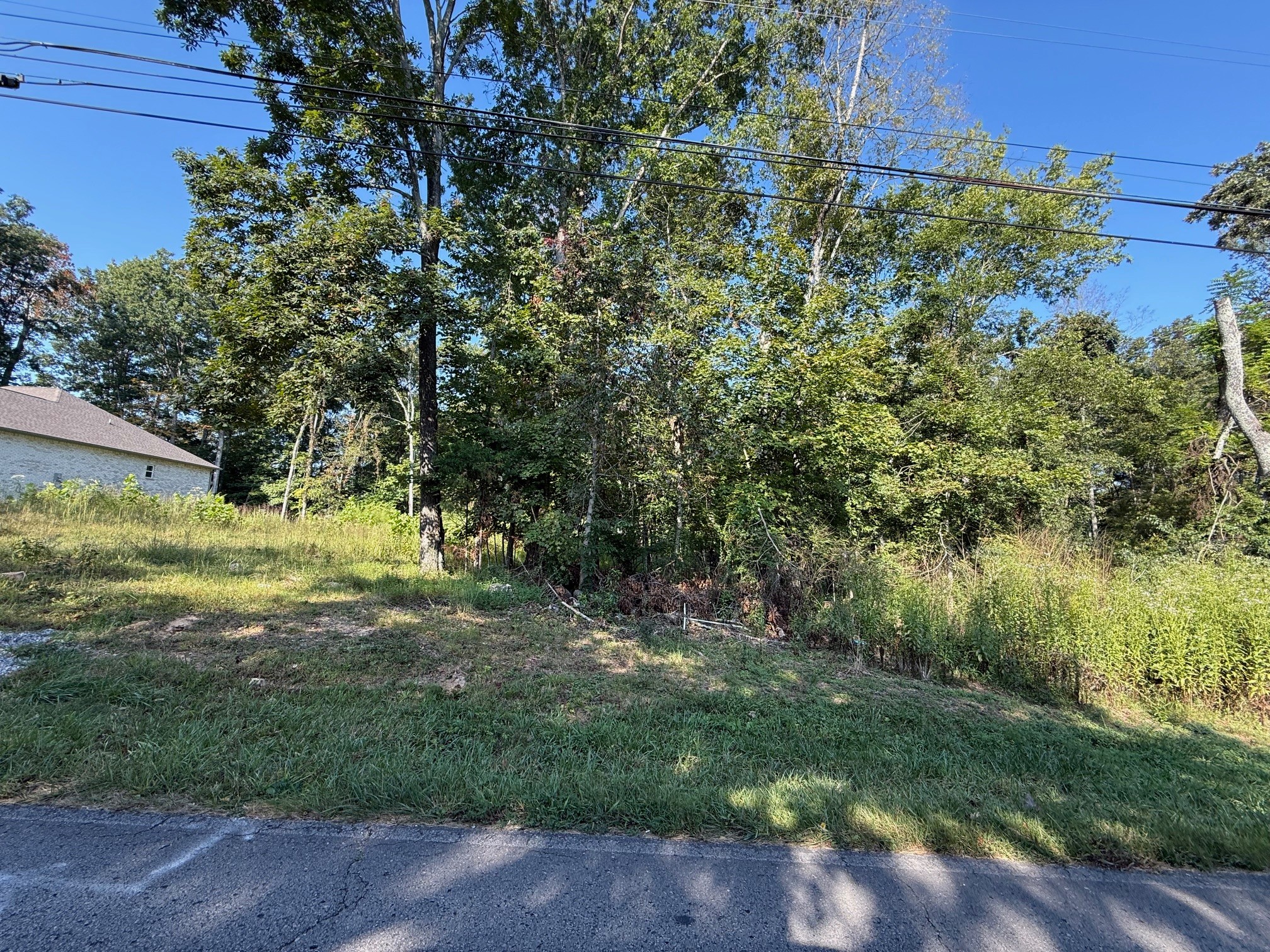 0 Ovoca Road Tullahoma, TN 37388 - Photo 4 of 6