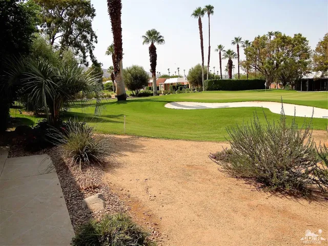 a view of a park with large trees