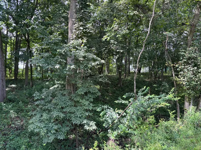 $3,800 | 834 Lake Wildwood Drive, Varna, IL 61375