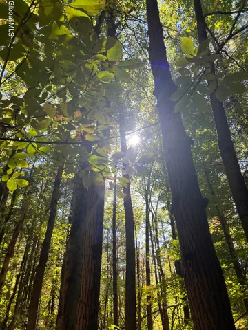 $92,500 | 87 Bulson Road, Brunswick, NY 12180