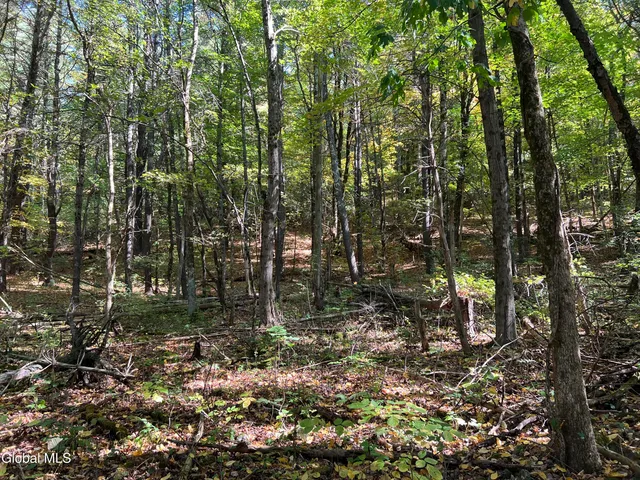 $92,500 | 87 Bulson Road, Brunswick, NY 12180