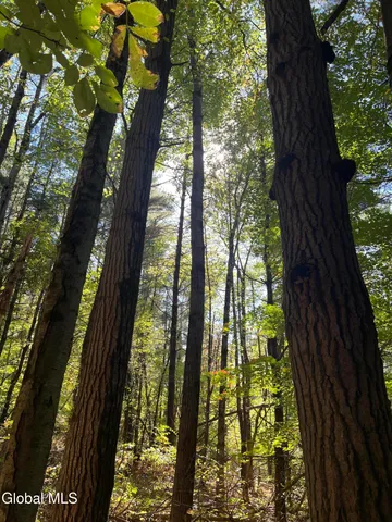 $92,500 | 87 Bulson Road, Brunswick, NY 12180