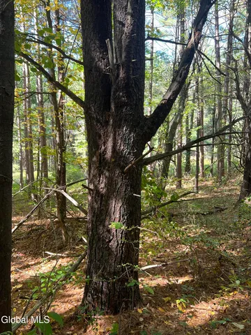 $92,500 | 87 Bulson Road, Brunswick, NY 12180