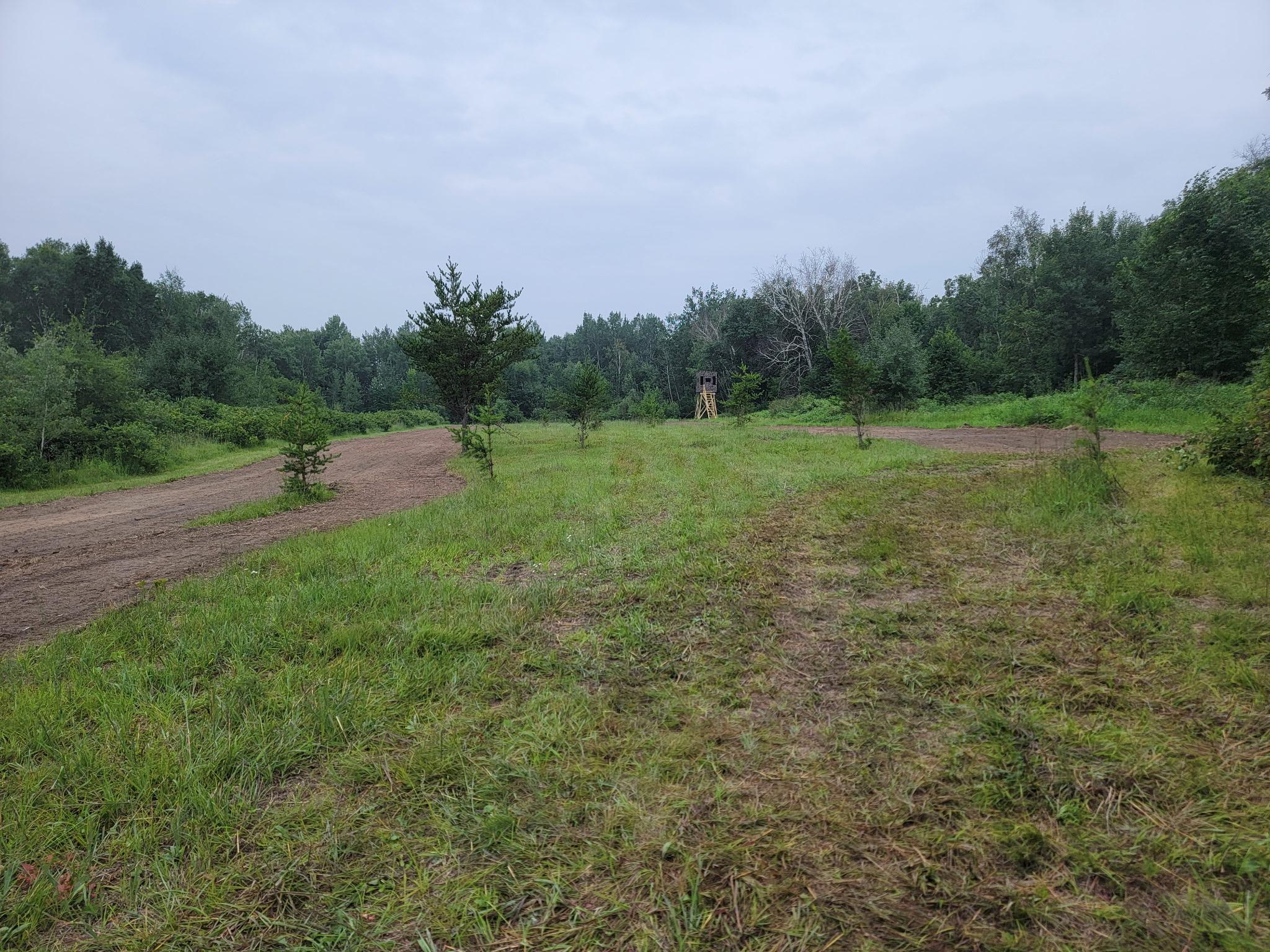 25820 County Road 26 Sebeka, MN 56477 - Photo 67 of 103