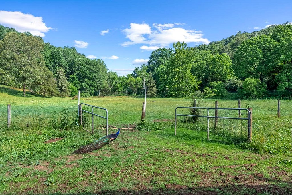2109 Walton Furnace Road Max Meadows, VA 24360 - Photo 56 of 56 Gallery Image 56