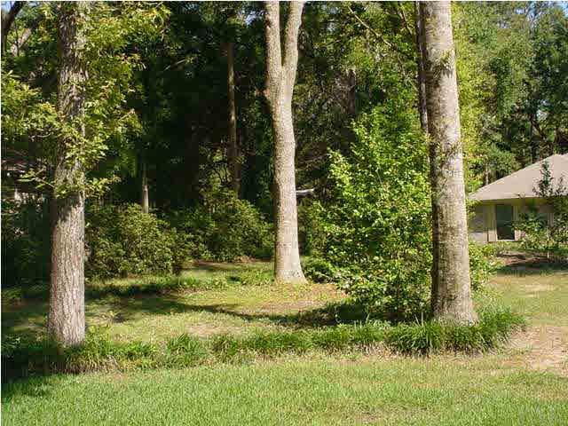 5477 Rowe Trail Pace, FL 32571 - Photo 10 of 20 nice shade trees