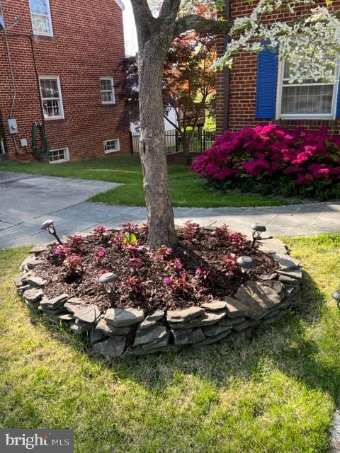 2116 Cascade Road Silver Spring, MD 20902 - Photo 34 of 53 Spring Blooming!