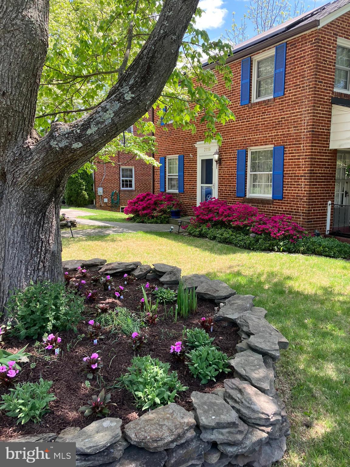 2116 Cascade Road Silver Spring, MD 20902 - Photo 49 of 53 Stunning Spring Landscaping!