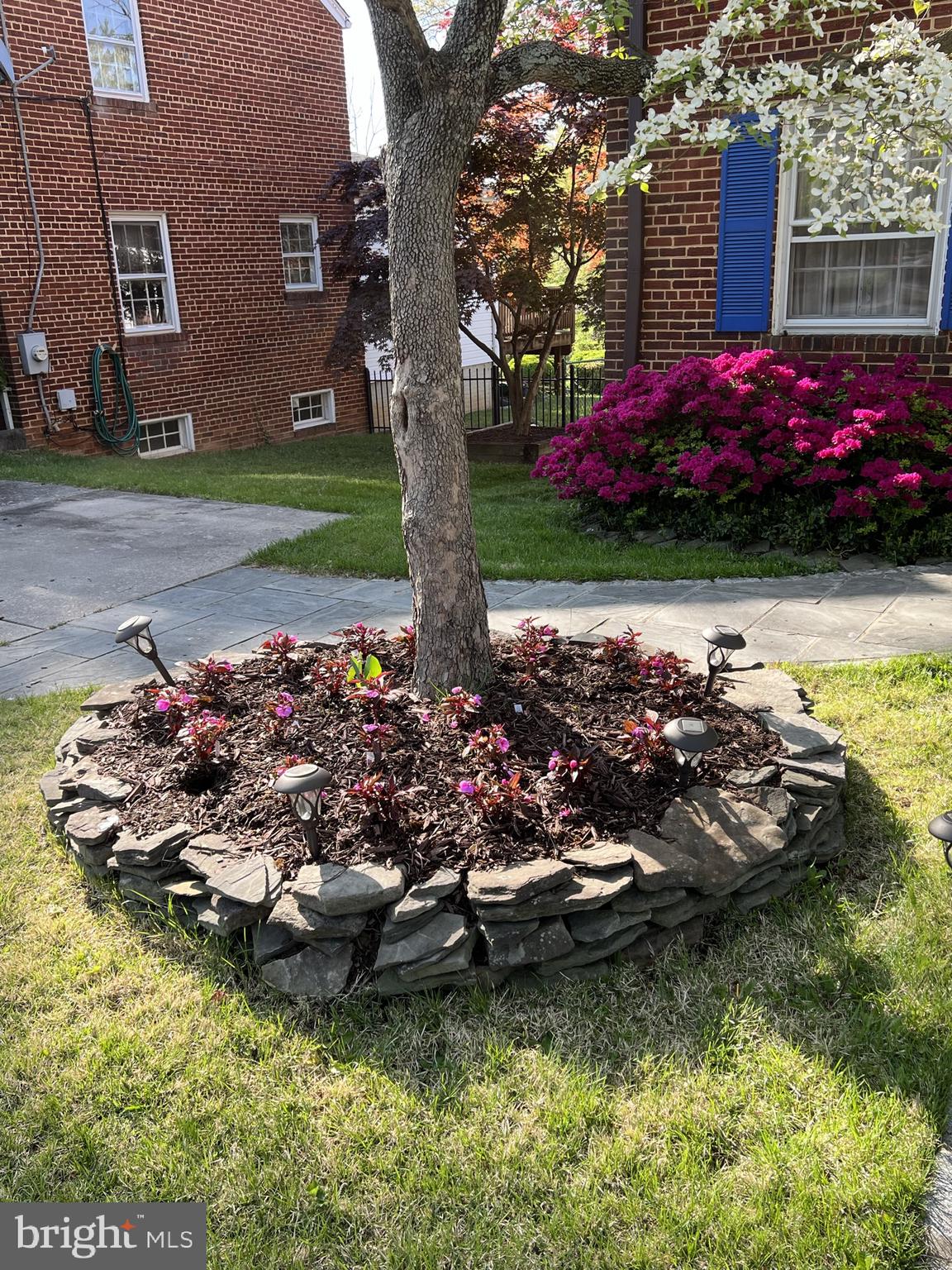 2116 Cascade Road Silver Spring, MD 20902 - Photo 50 of 53 Lovely Front Gardens