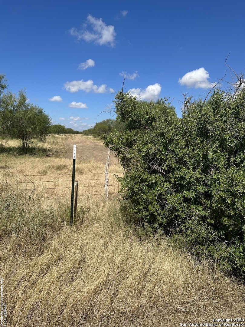 0 Old Highway Sabinal, TX 78881 - Photo 1 of 6 a view of a yard