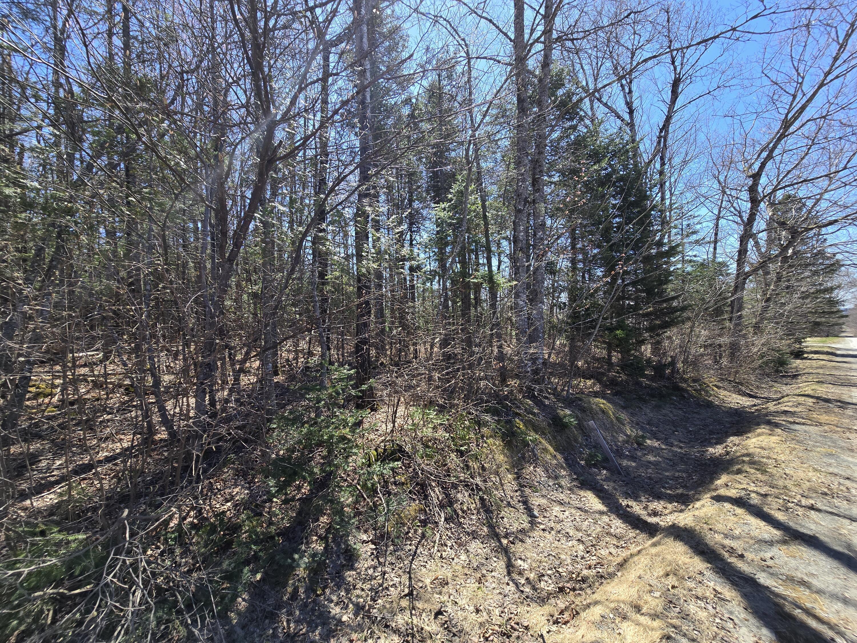 0 Grant Road Sangerville, ME 04479 - Photo 8 of 18 20250501_134348