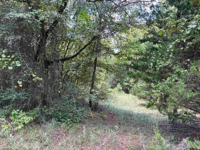 a view of a green field with lots of bushes