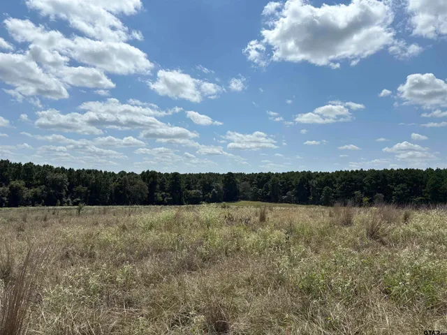 a view of a lake with houses in back
