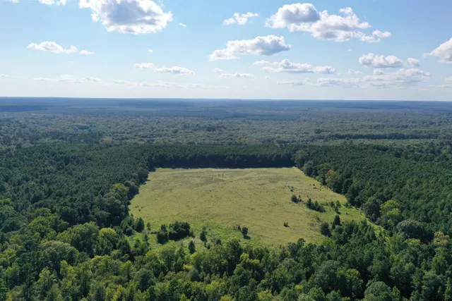 a view of a house with a trees and plants