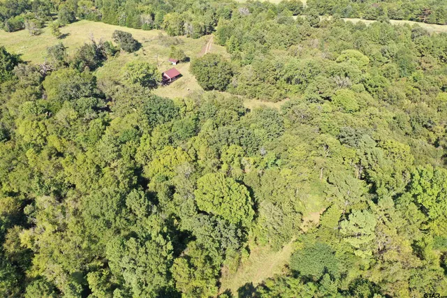 a view of a yard with plants and wooden wall