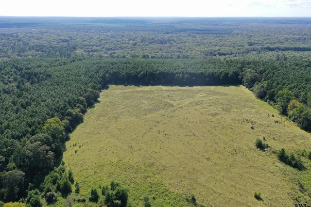 a view of a lake in a forest