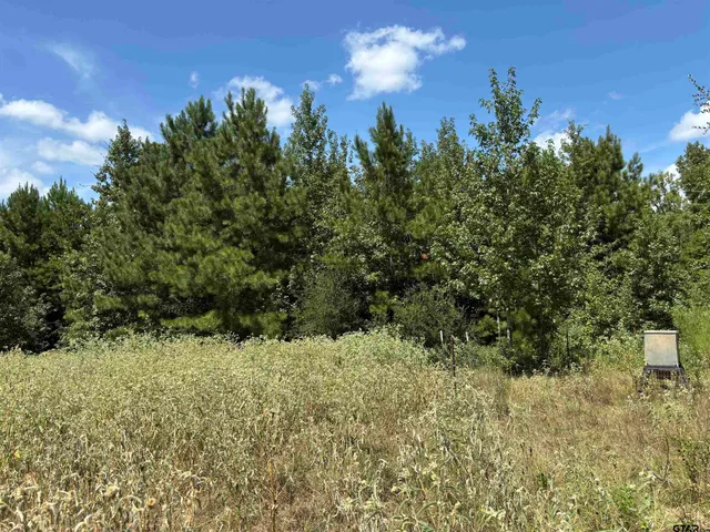 $760,000 | 0 Cr 1902 Jacksonville Tx 75766, Jacksonville, TX 75766