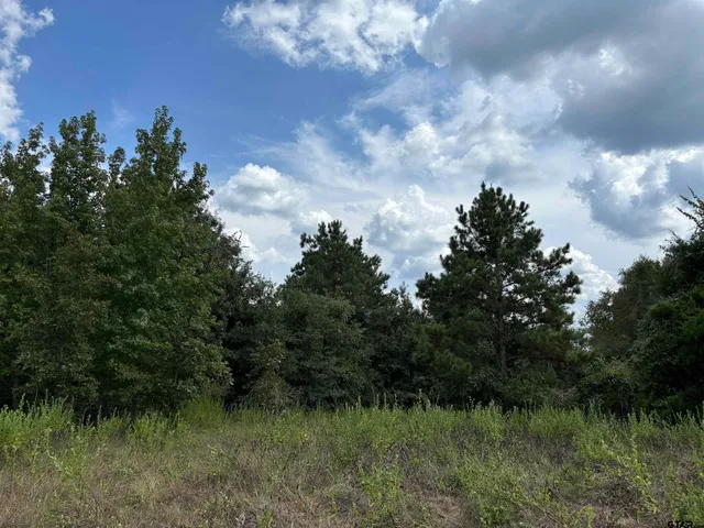 a view of a big yard with plants and a bench