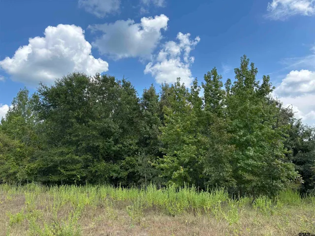 a view of a lake from a yard