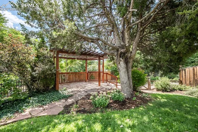 a view of a backyard with large tree and plants