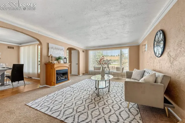 a living room with furniture and a fireplace