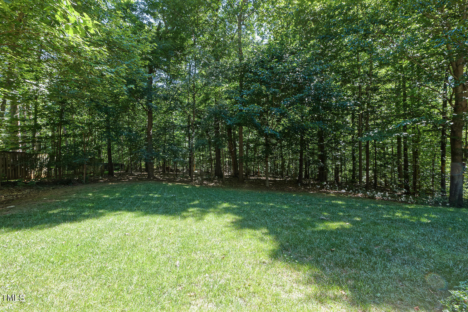6013 Splitrock Trail Apex, NC 27539 - Photo 46 of 53 a view of a trees with a yard