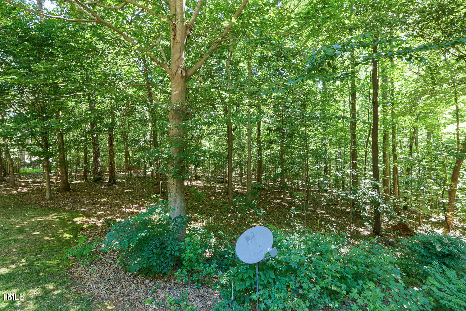 6013 Splitrock Trail Apex, NC 27539 - Photo 47 of 53 a view of a lush green forest