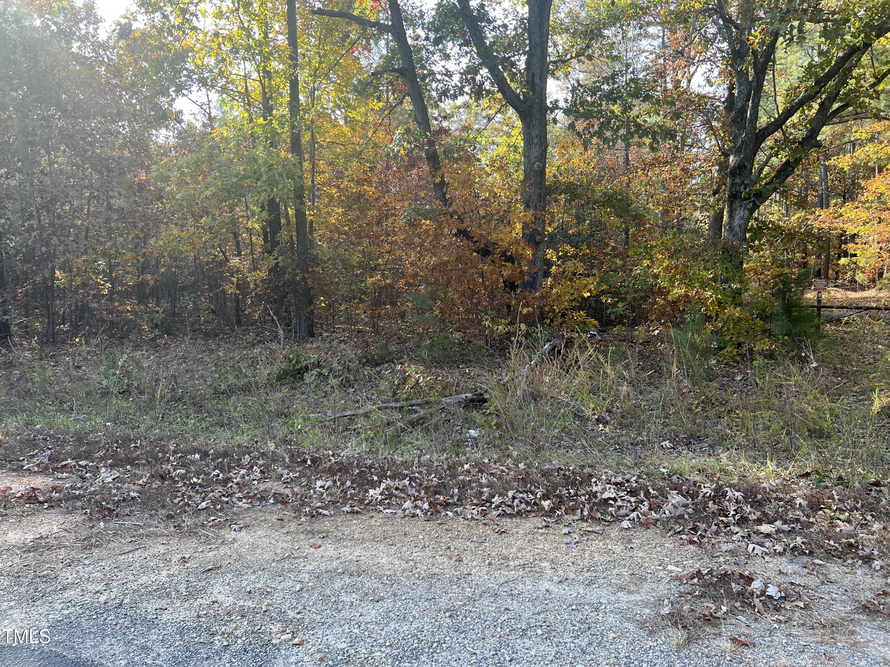 0 Nocarva Road Macon, NC 27551 - Photo 12 of 14 IMG 8151 photo