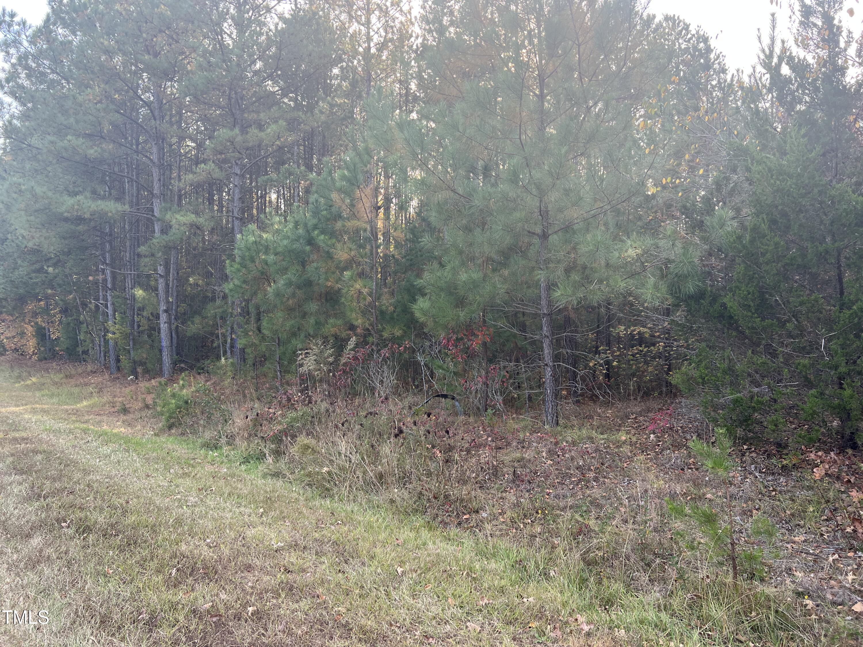 0 Nocarva Road Macon, NC 27551 - Photo 9 of 14 IMG 8148 photo