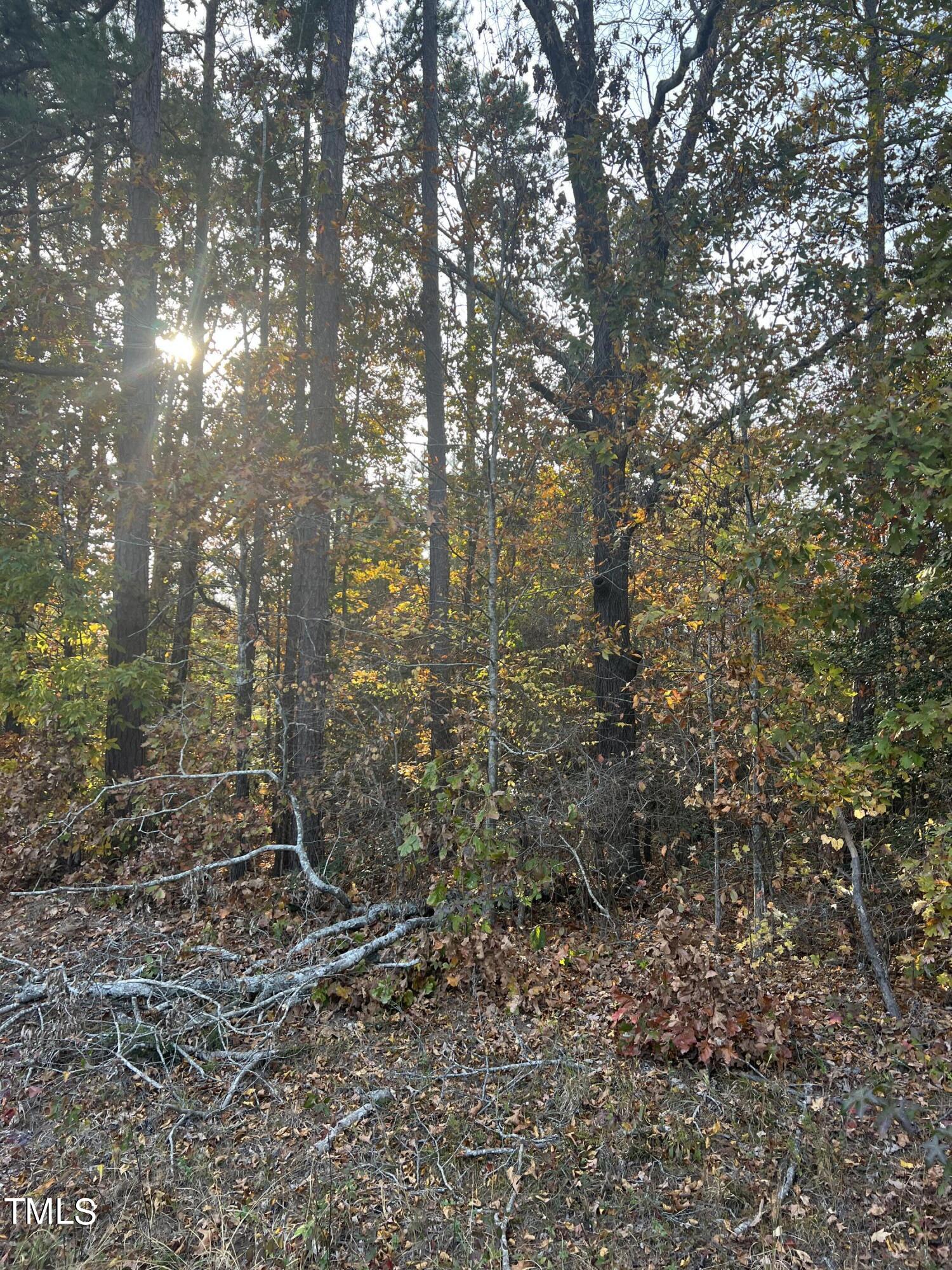 0 Nocarva Road Macon, NC 27551 - Photo 10 of 14 IMG 8149 photo