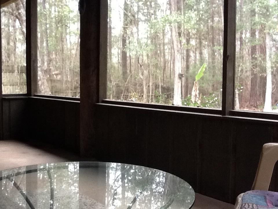 8438 Rynes Circle Navarre, FL 32566 - Photo 44 of 54 Gallery Image 44