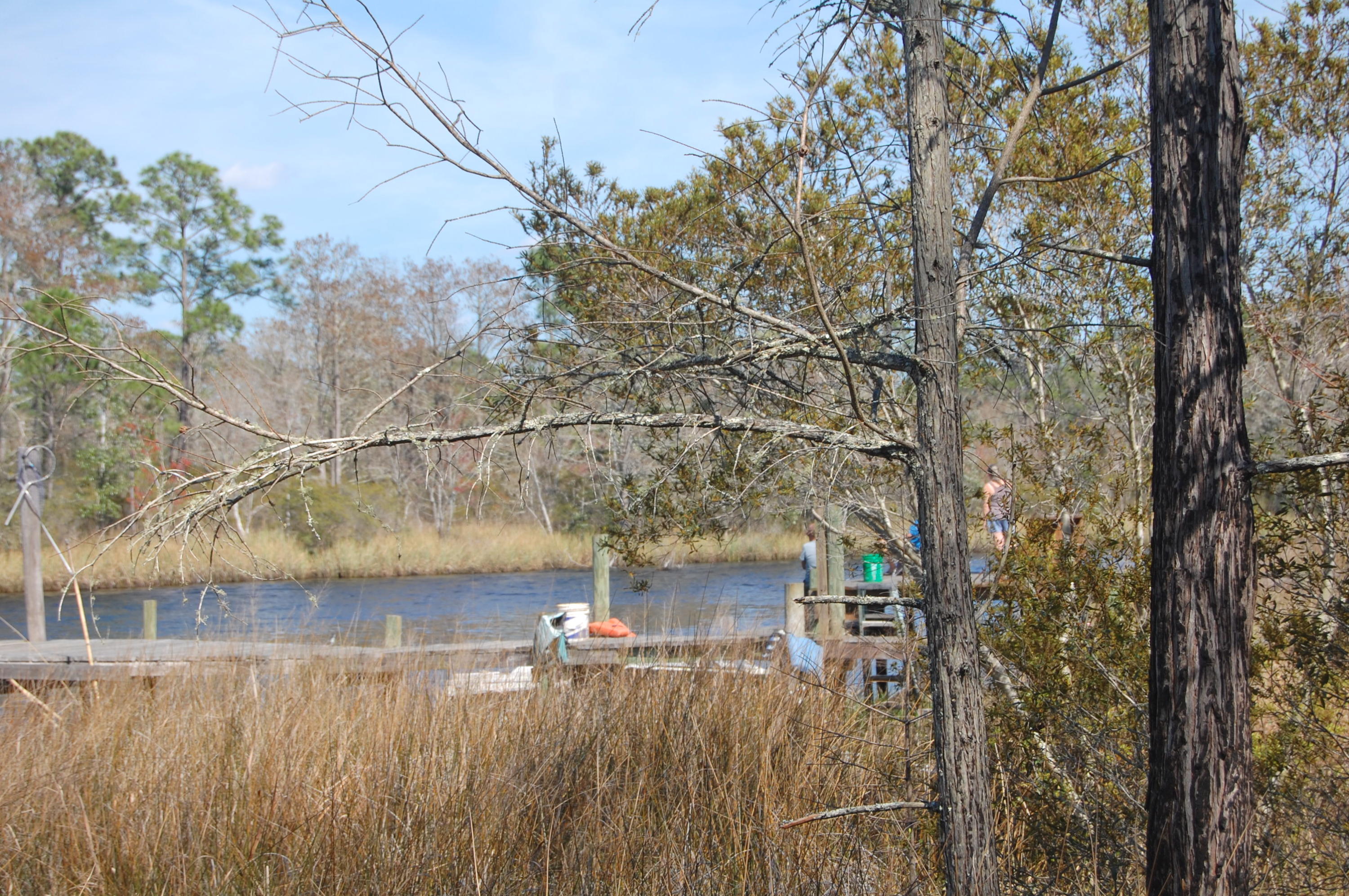8438 Rynes Circle Navarre, FL 32566 - Photo 51 of 54 Gallery Image 51