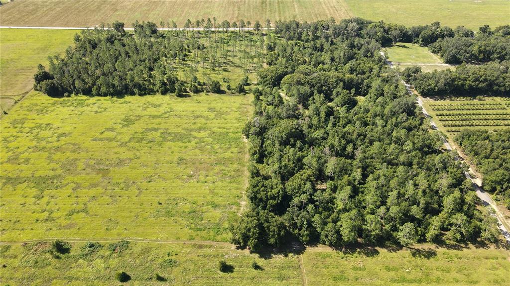 Amberlea Road Dade City, FL 33523 - Photo 2 of 8