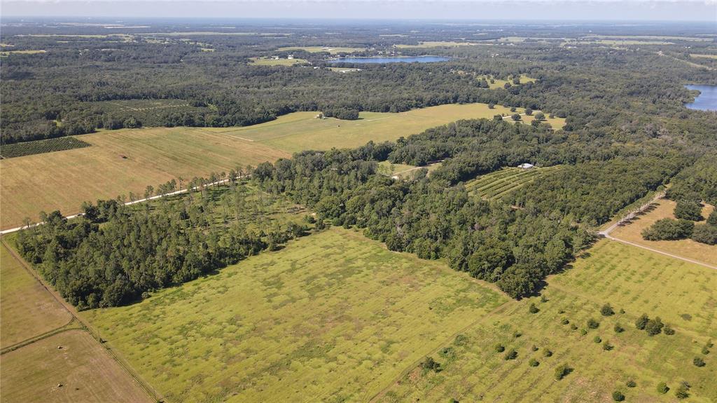 Amberlea Road Dade City, FL 33523 - Photo 3 of 8