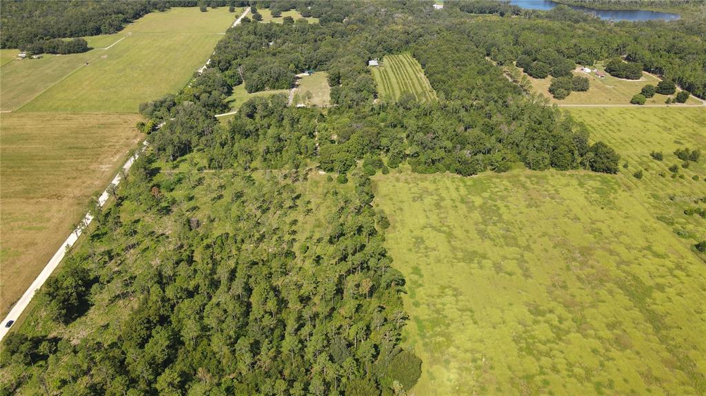 Amberlea Road Dade City, FL 33523 - Photo 4 of 8
