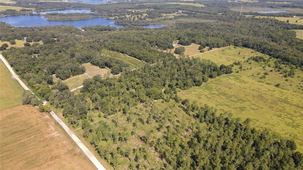 Amberlea Road Dade City, FL 33523 - Photo 5 of 8