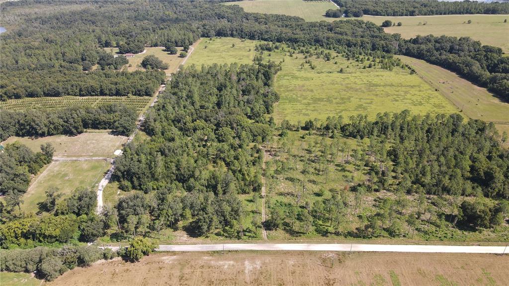 Amberlea Road Dade City, FL 33523 - Photo 6 of 8
