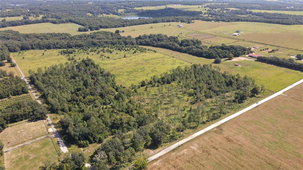 Amberlea Road Dade City, FL 33523 - Photo 7 of 8