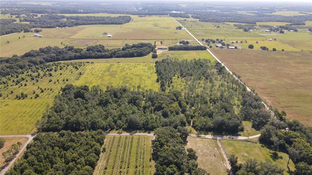 Amberlea Road Dade City, FL 33523 - Photo 8 of 8