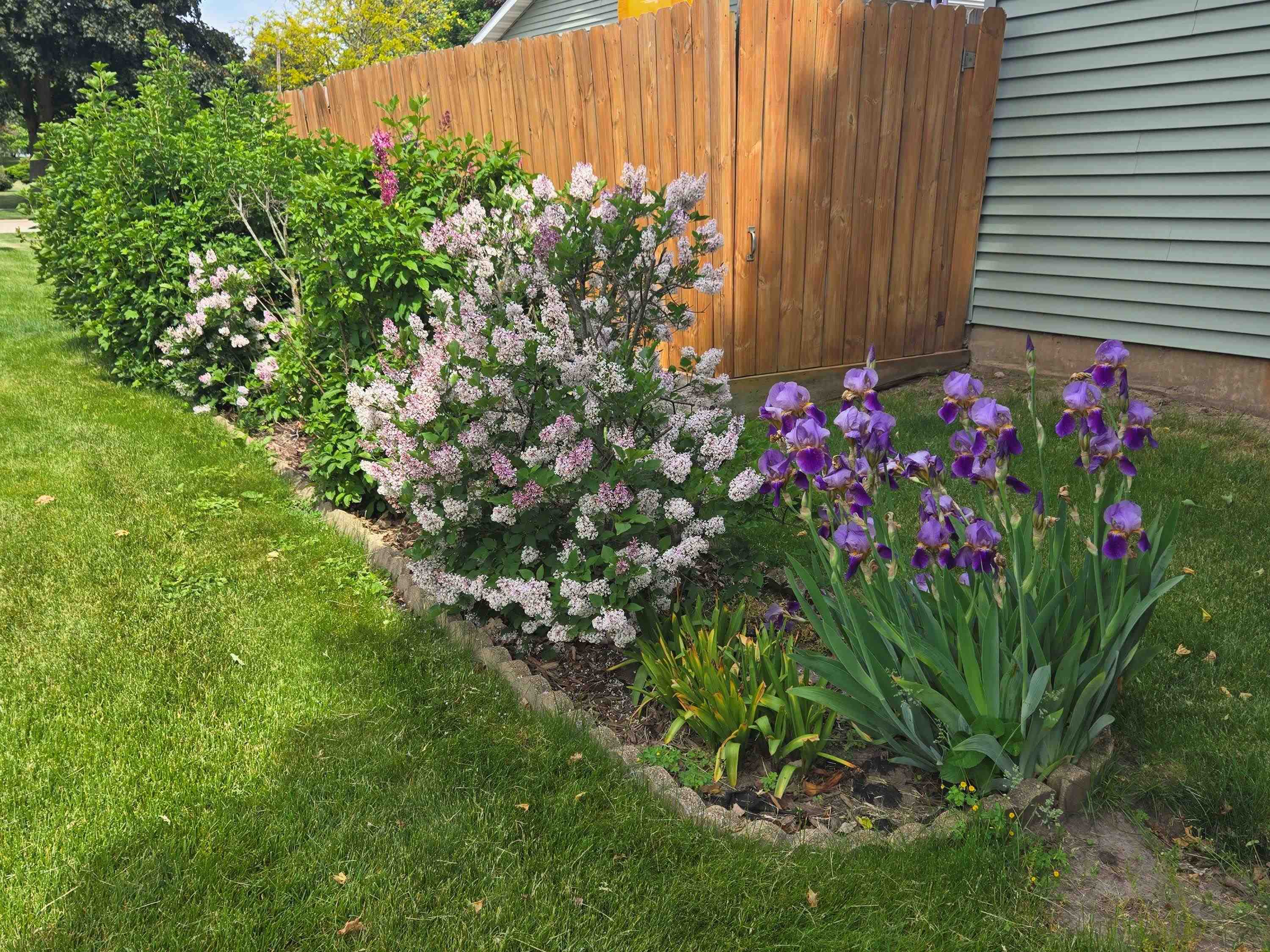 659 Hamburg Street Ripon, WI 54971 - Photo 29 of 32