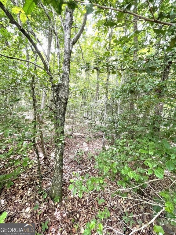 0 Stewart Road Dunlap, TN 37379 - Photo 5 of 12
