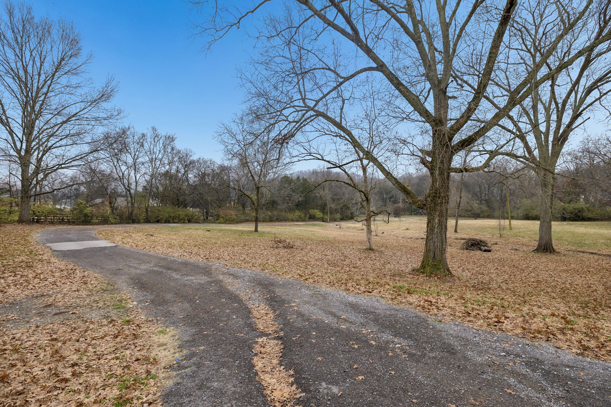 6394 Temple Road Franklin, TN 37069 - Photo 2 of 8 a view of dirt yard with a tree