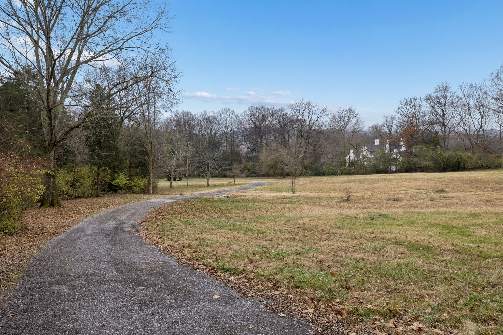 6394 Temple Road Franklin, TN 37069 - Photo 3 of 8 a view of a with large trees