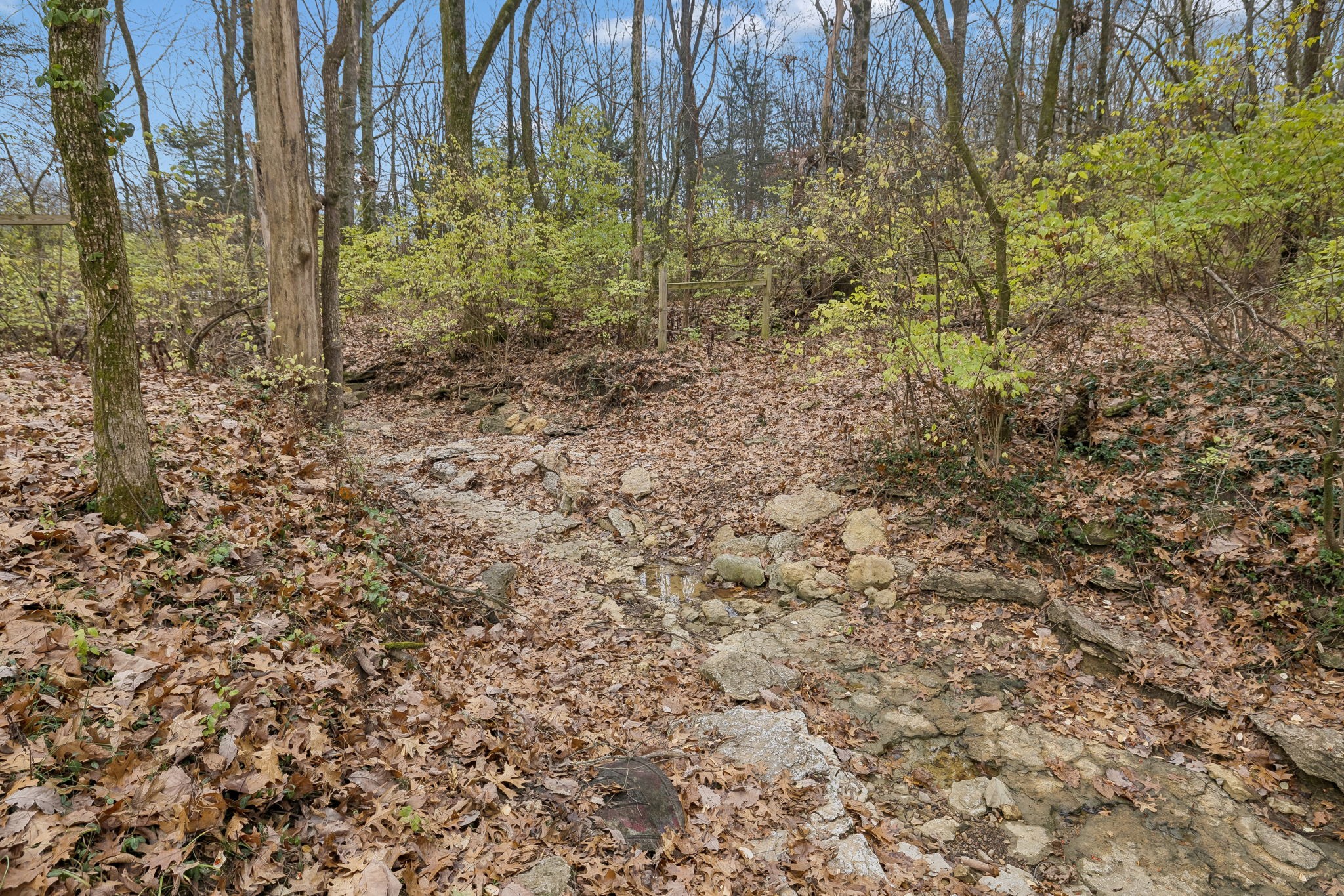 6394 Temple Road Franklin, TN 37069 - Photo 6 of 8 a view of a yard with trees