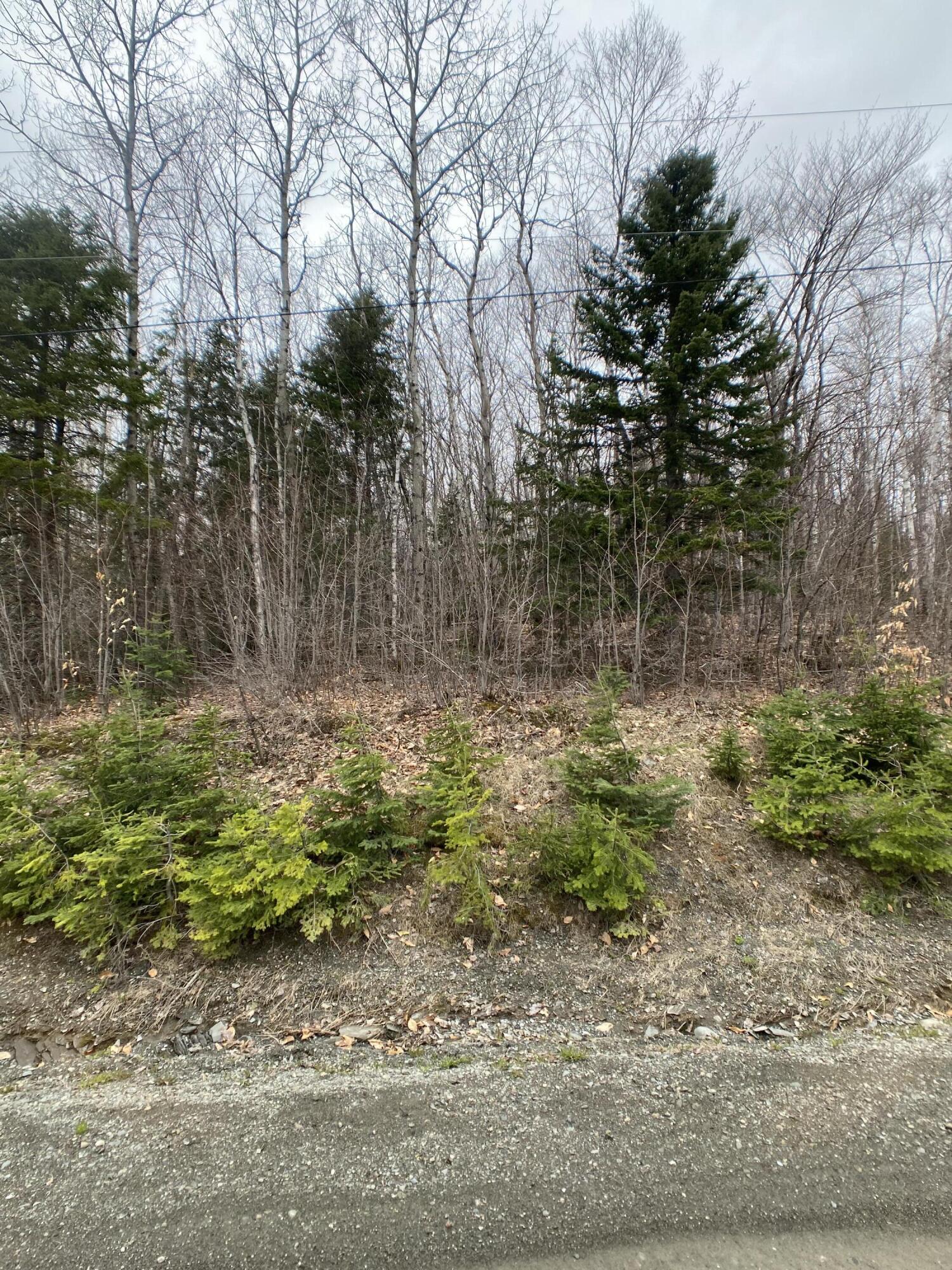 80 Blaine School Road Fort Kent, ME 04743 - Photo 5 of 8 IMG_4147