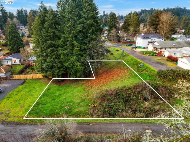 $65,000 | 23352 Adj To Columbia Street, Vernonia, OR 97064